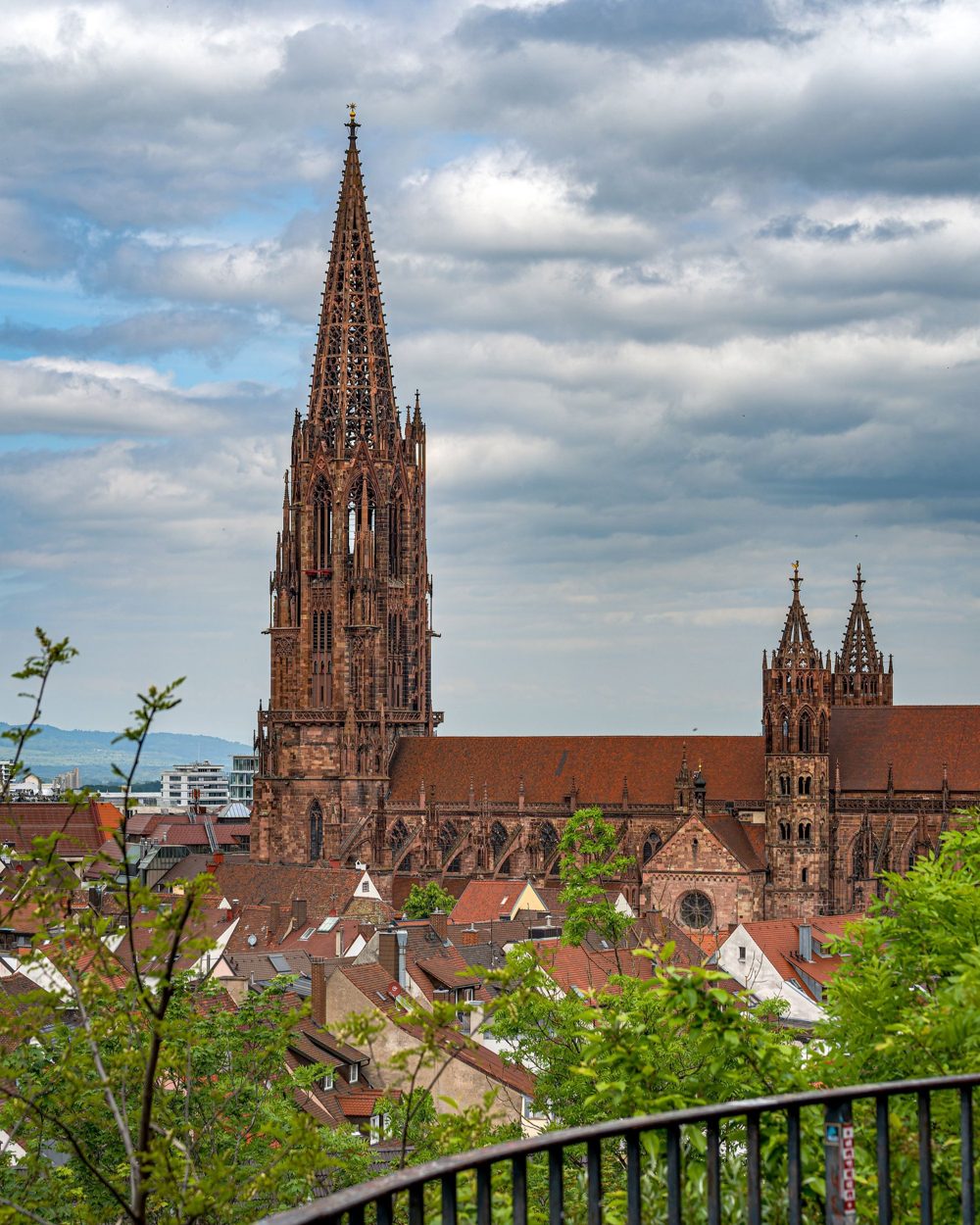 Blick über die Dächer der Freiburger Altstadt auf das Münster